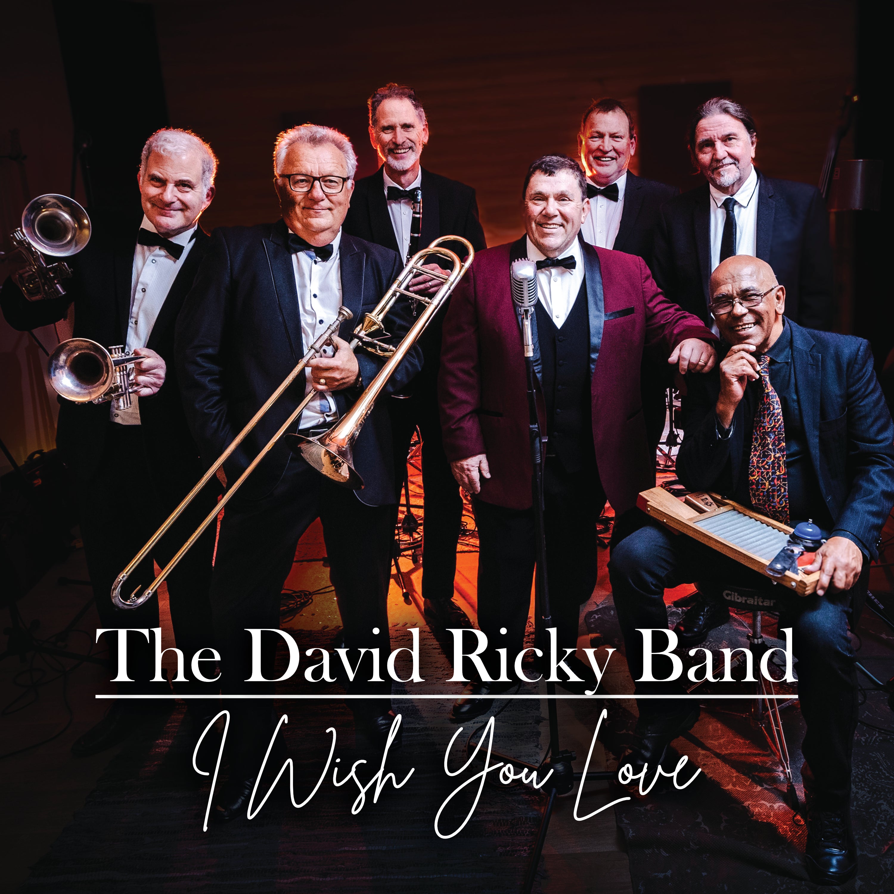 DAVID RICKY BAND - I WISH YOU LOVE CD – M-Pire Music